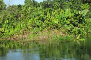 fotos_congo_claraichaves_natural_02