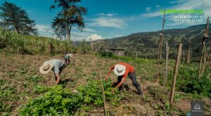 Lee más sobre el artículo La reforma rural no puede ser el precio de la paz